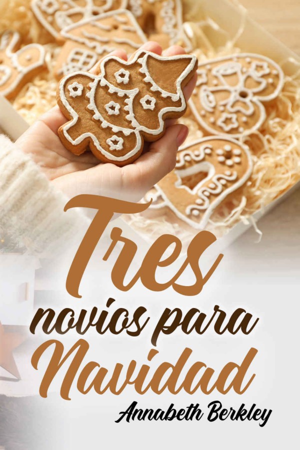 Tres novios para Navidad