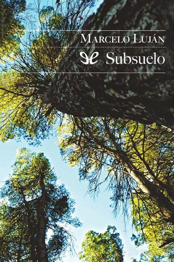 Subsuelo