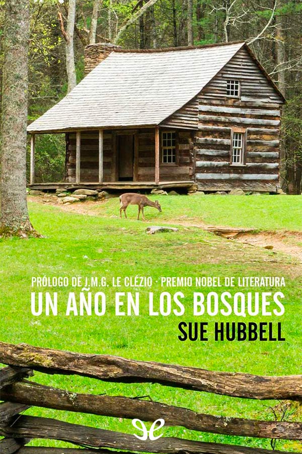Un año en los bosques