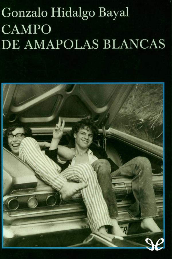 Campo de amapolas blancas