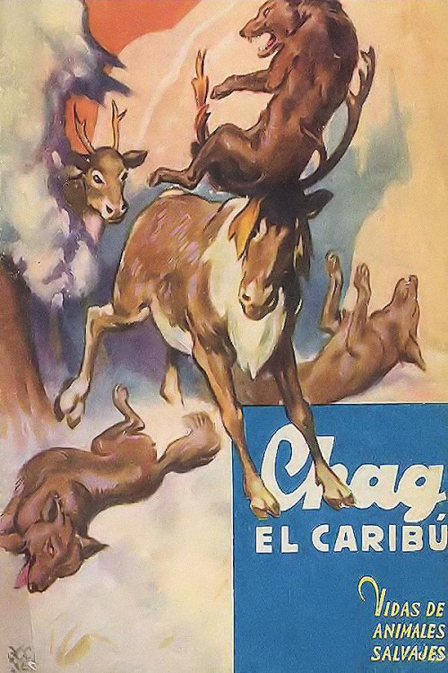 Chag, el caribú