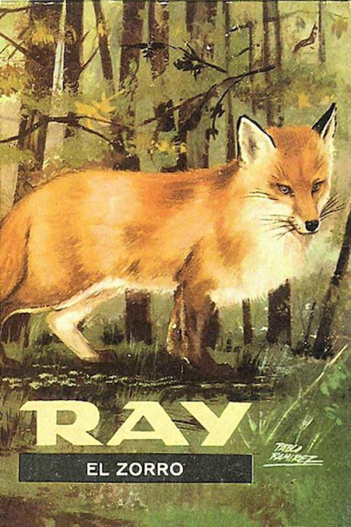Ray, el zorro