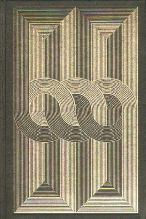 La sombra del halcón