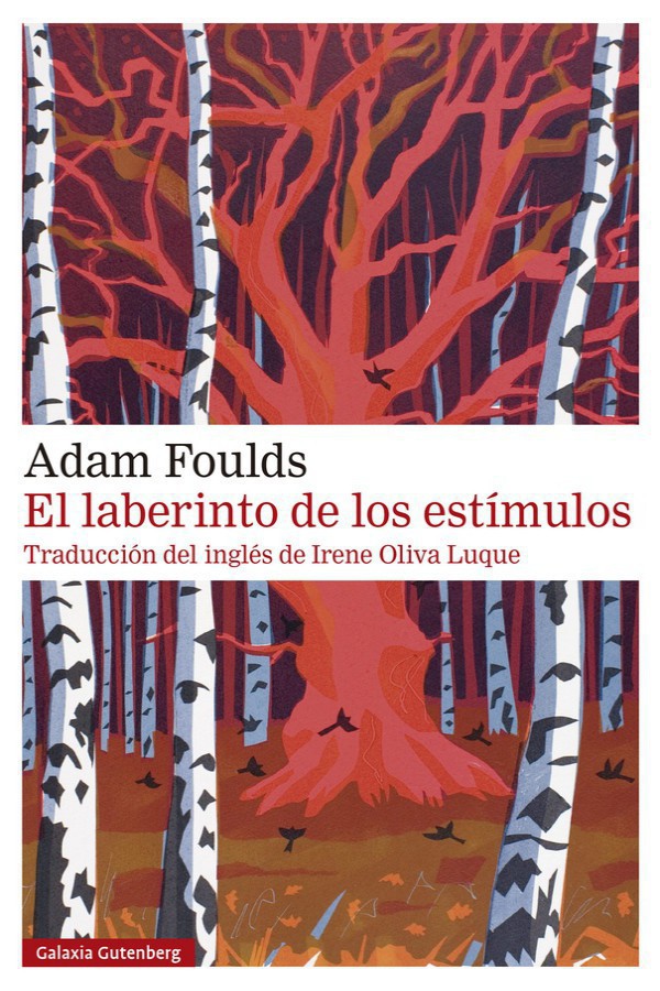 El laberinto de los estímulos