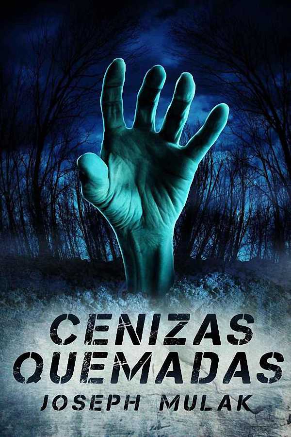 Cenizas quemadas