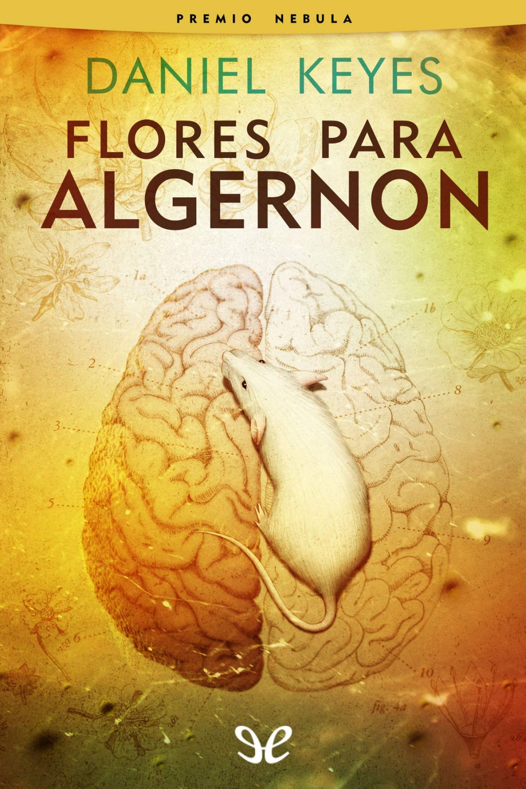 Flores para Algernon