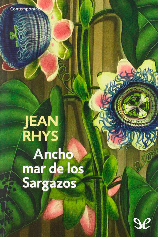 Ancho mar de los Sargazos