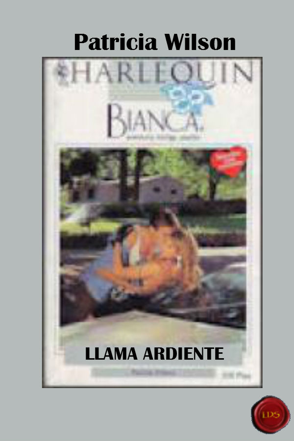 Llama ardiente