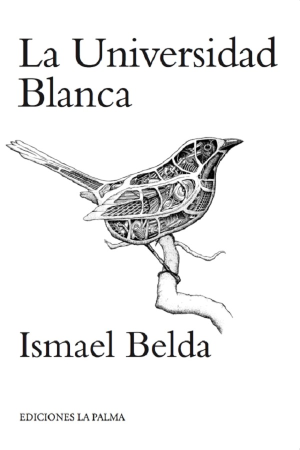 La universidad blanca