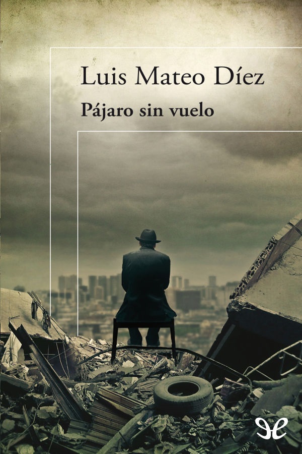 Pájaro sin vuelo