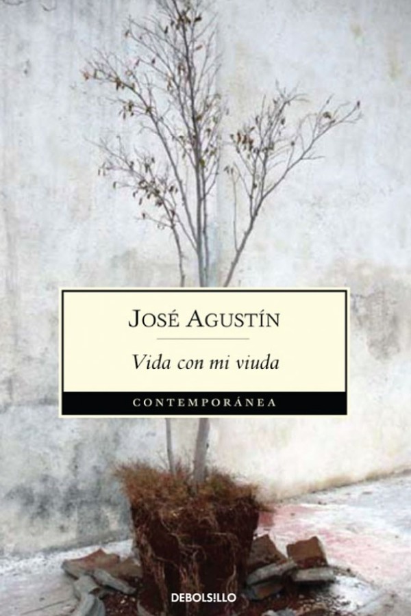 Vida con mi viuda