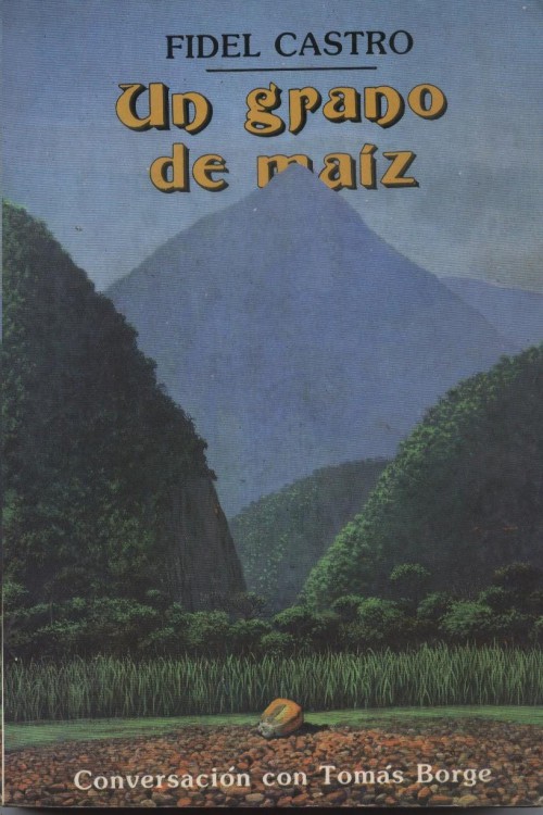 Un grano de maíz