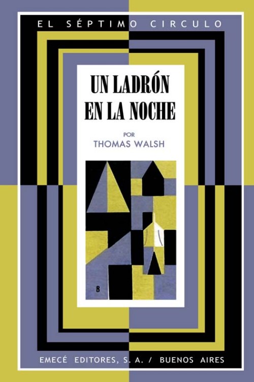 Un ladrón en la noche