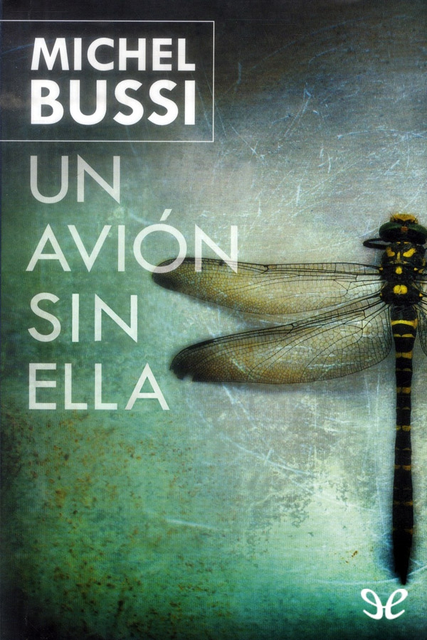 Un avión sin ella