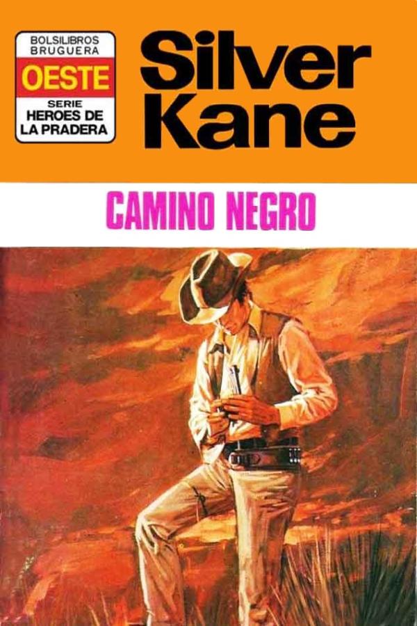 Camino negro