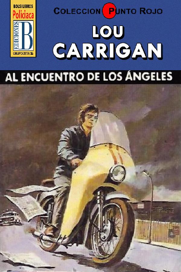 Al encuentro de los ángeles (2ª Ed.)