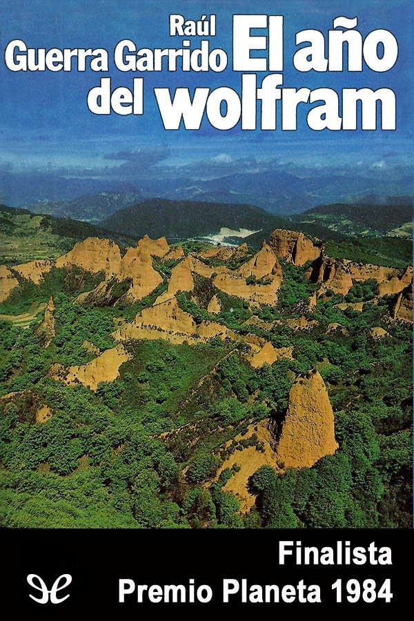 El año del wolfram