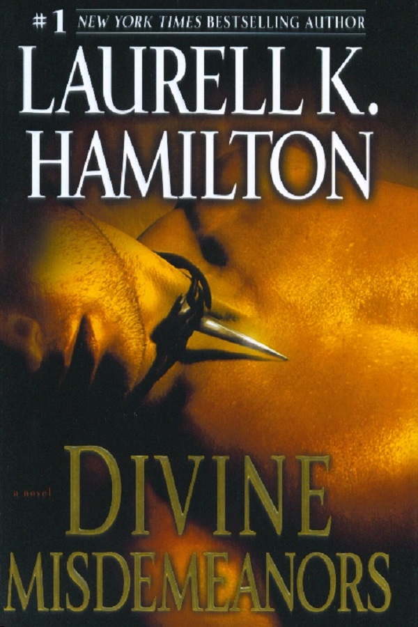 Divine misdemeanors (no oficial)
