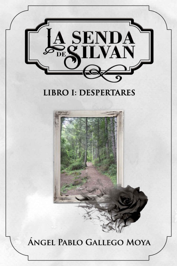Despertares